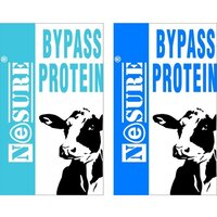 Nesure Bypass Protein Supplement - Physical Form: Powder