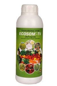 Ecosom-TV