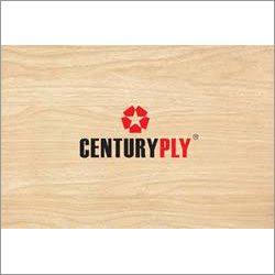 Century Plywood