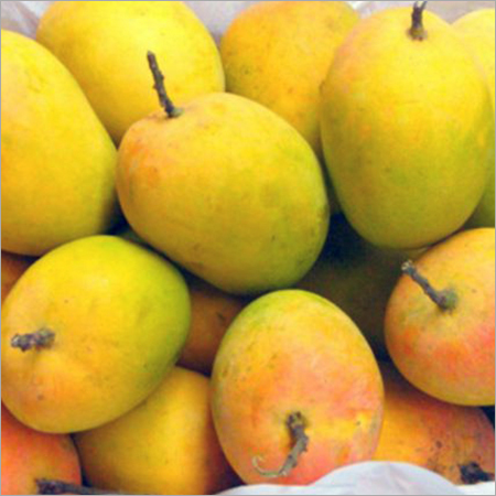 Alphonso Mango
