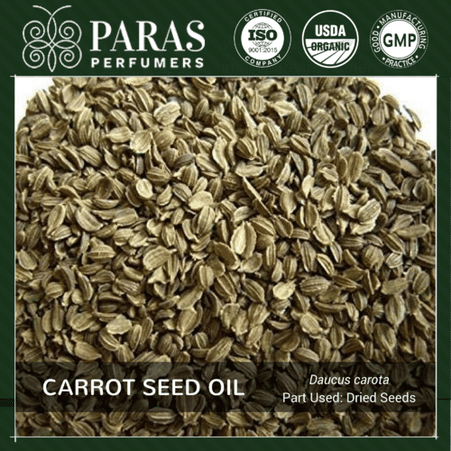 Carrot Seed Oil