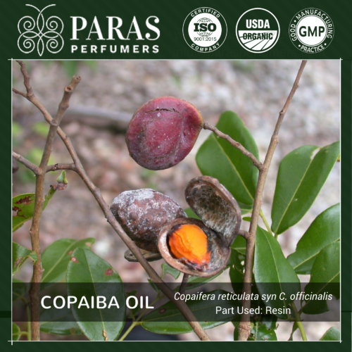 Copaiba Balsam Oil Age Group: All Age Group