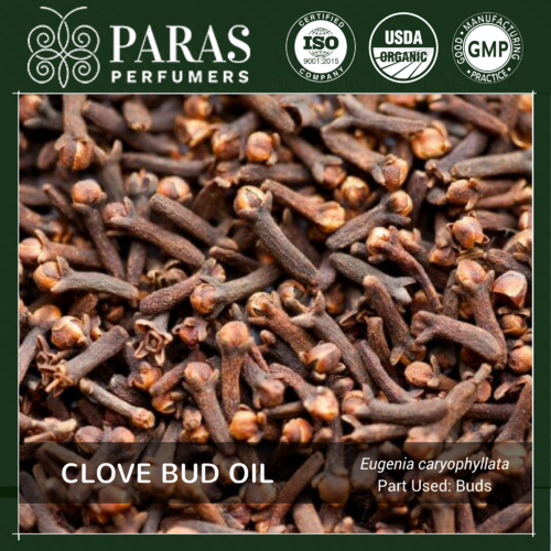 Clove Bud Oil