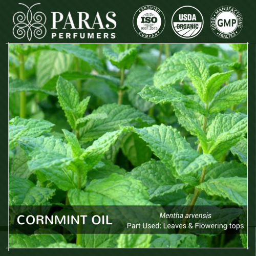 Cornmint Oil