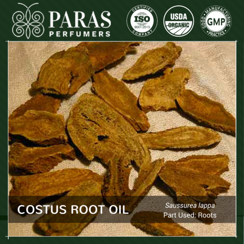 Costus Root Oil Age Group: All Age Group