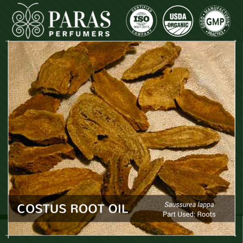 Costus Root Oil