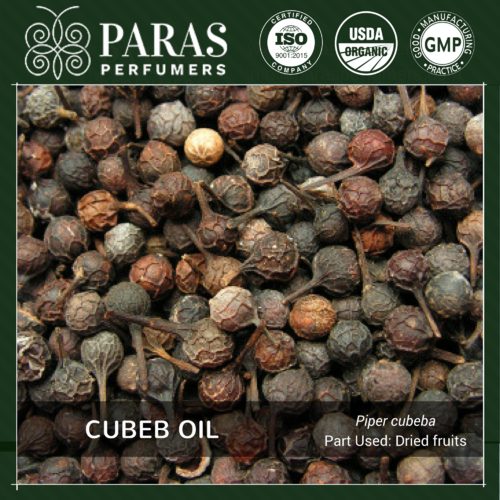 Cubeb Oil