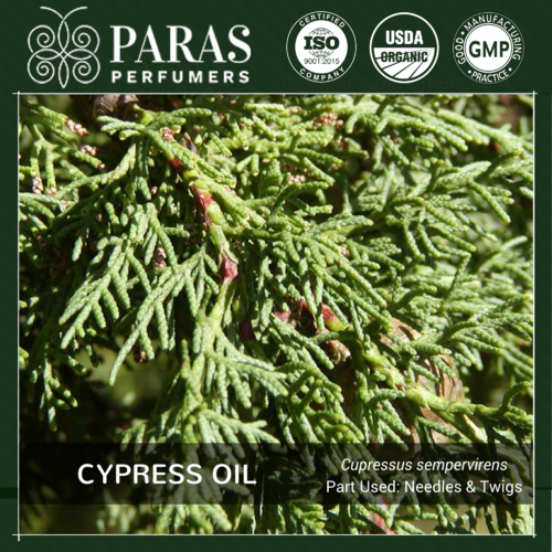 Cypress Oil