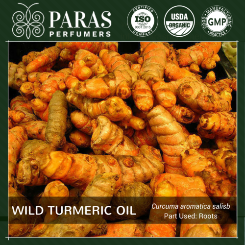 Curcuma Aromatica Oil