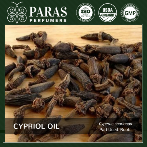 Cypriol (Nagarmotha) Oil
