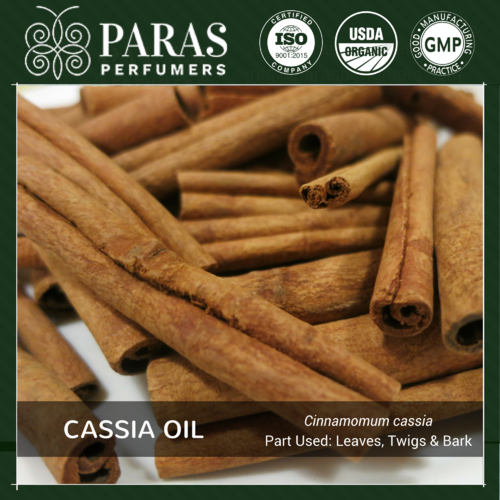 Cassia Oil