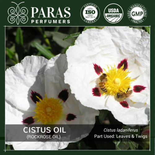 Cistus (Rockrose) Oil