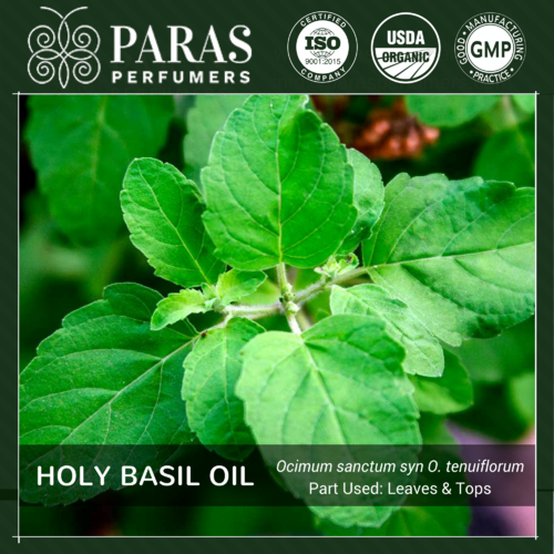 Holy Basil (Tulsi) Oil