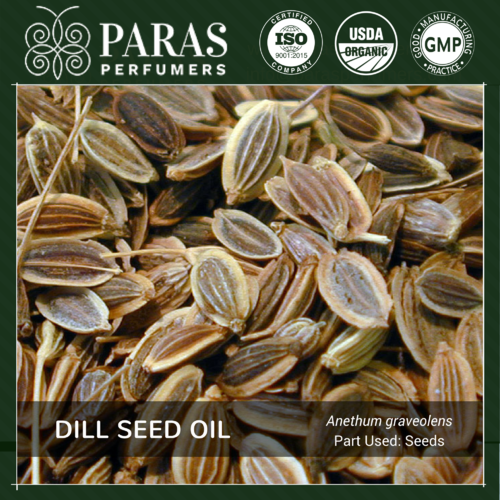 Dill Seed Oil