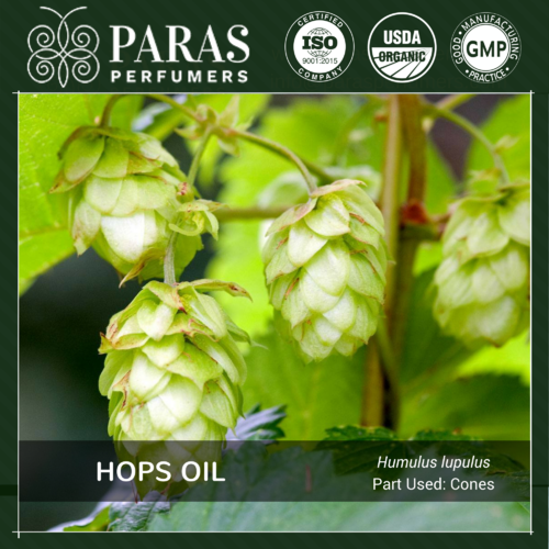Hops Oil