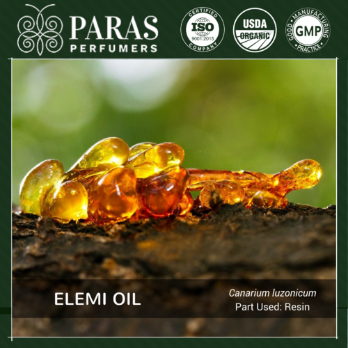 Elemi Oil