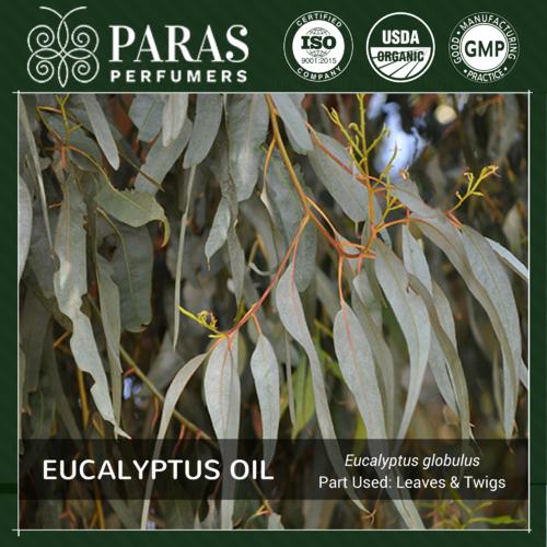 Eucalyptus Oil