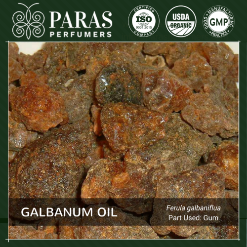 Galbanum Oil