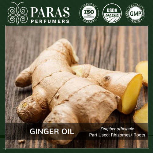 Ginger Oil