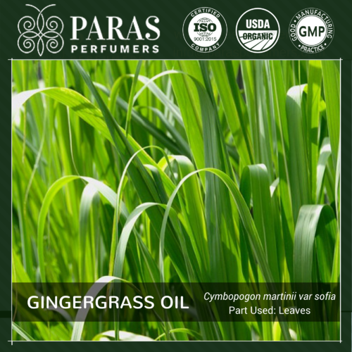 Gingergrass Oil
