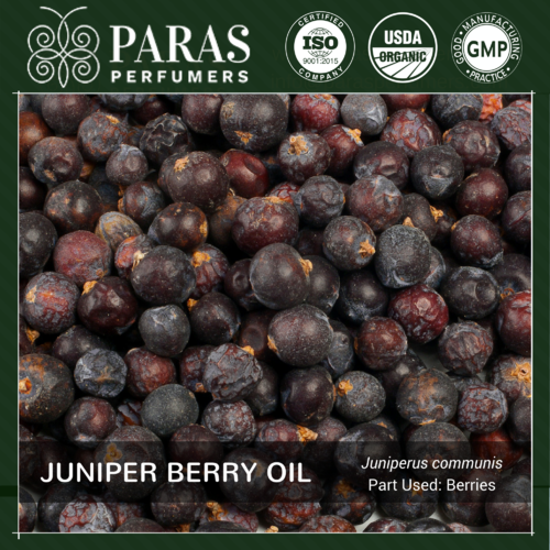 Juniper Berry Oil