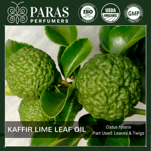 Kaffir Lime Leaf Oil