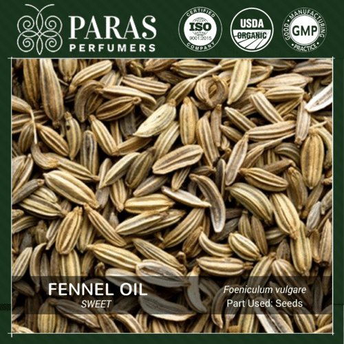 Fennel Oil