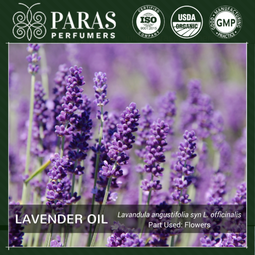 Lavender Oil