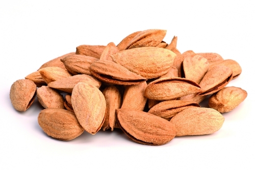 Almond With Shell