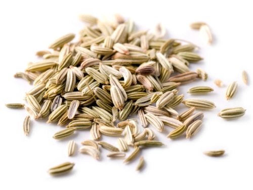 Fennel Seed