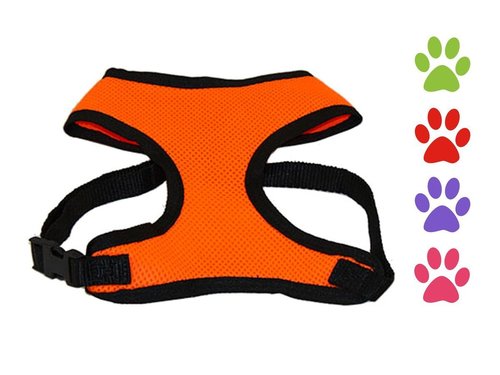 Comfort Mesh Harness
