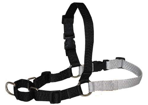 Pet Harness