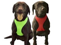 Winter Dog Coats