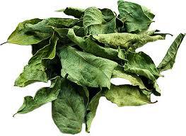 Organic Curry Leaves Dried / Tea Cut