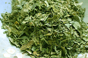 Organic Moringa Dried Leaves
