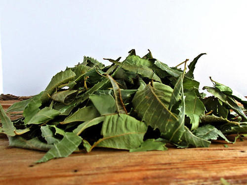 Organic Neem Leaves Dried / Tea CutsA 