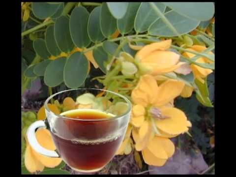 Organic Seena Flower / Tea Cuts