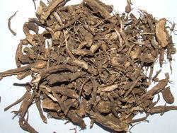 Organic Coleus Dried