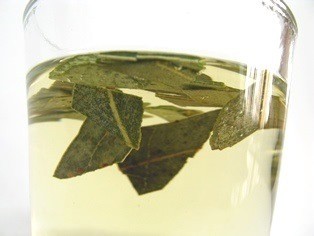 Organic Eucalyptus Dried Leaves / Tea Cuts