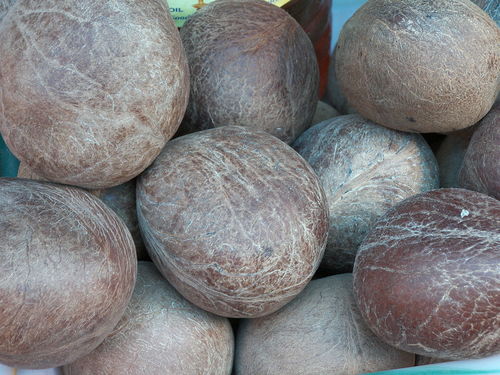 Organic Ball Copra Coconut