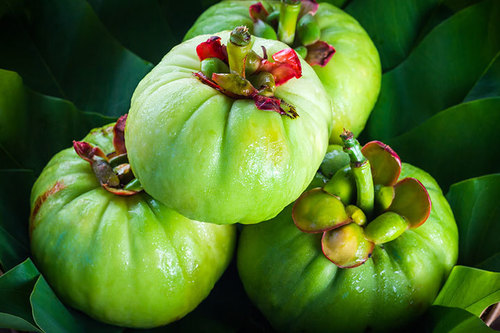 Organic Garcinia Combogia