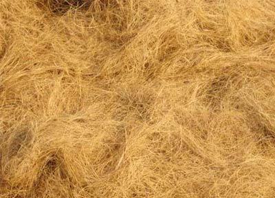 Coir Fibre
