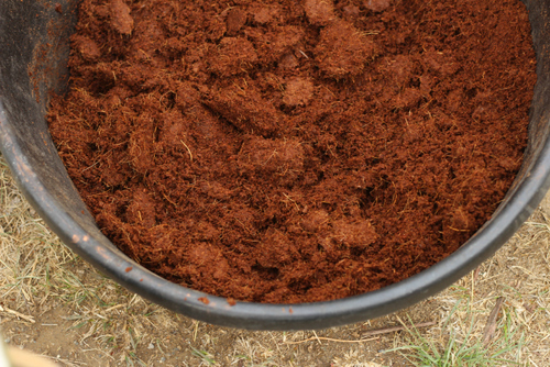 Coir Sand