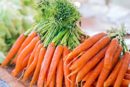 Fresh Organic Carrot