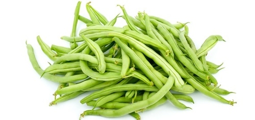 Fresh Organic Beans