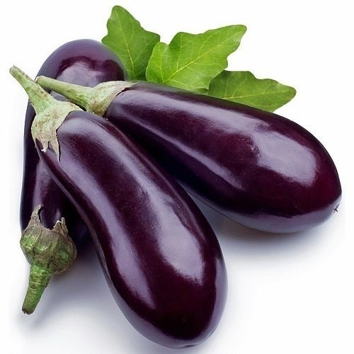 Fresh Organic Brinjal