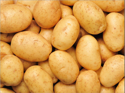 Fresh Organic Potato