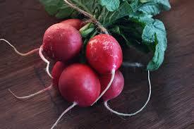 Fresh Organic Radish