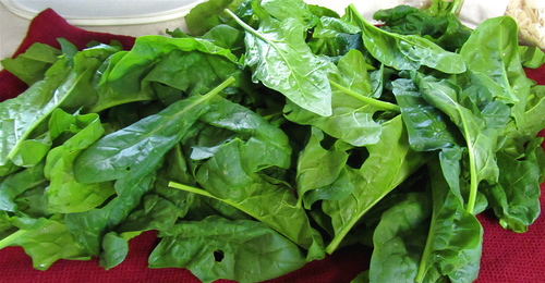 Fresh Organic Spinach
