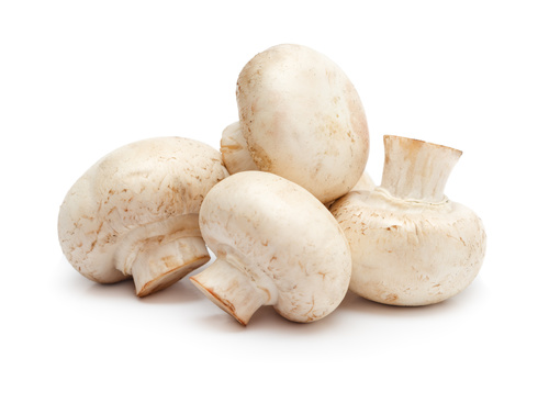Fresh Organic Mushroom